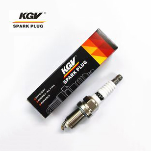 Double Iridium Spark Plug
