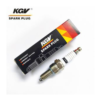 Motorcycle Double Iridium Spark Plug