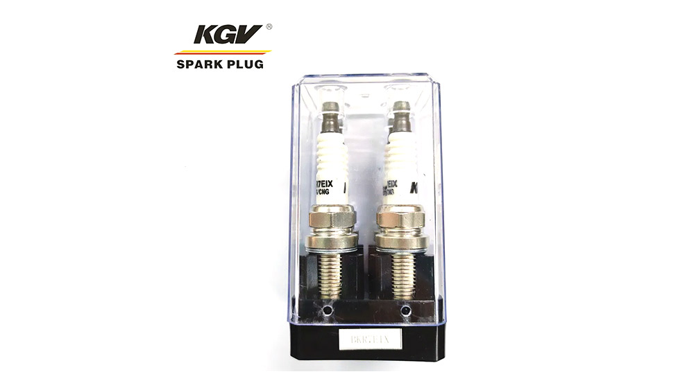CNG/LPG Spark Plug