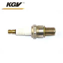 R2f15-79 Replace Rn79g Ge3-5 Natural Gas Generator /Genset Spark Plug